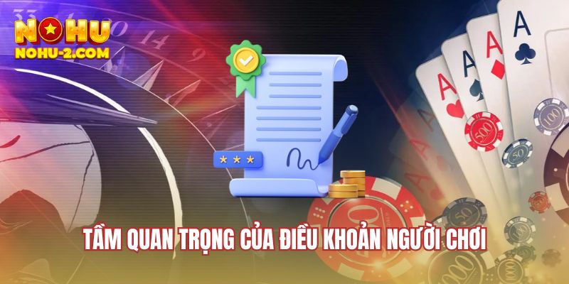 Tầm quan trọng của điều khoản người chơi